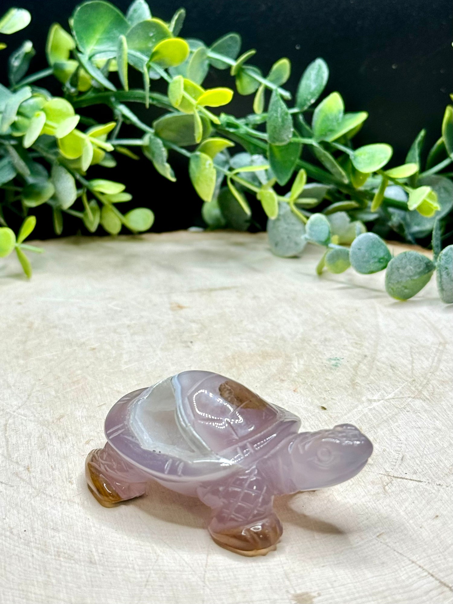 Agate Turtle Carving