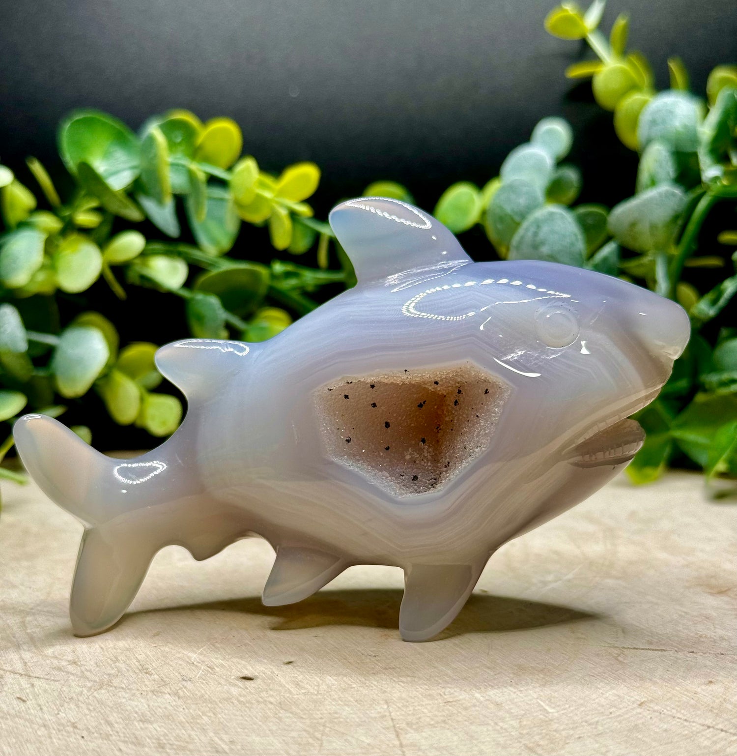 Druzy Agate Shark Carving