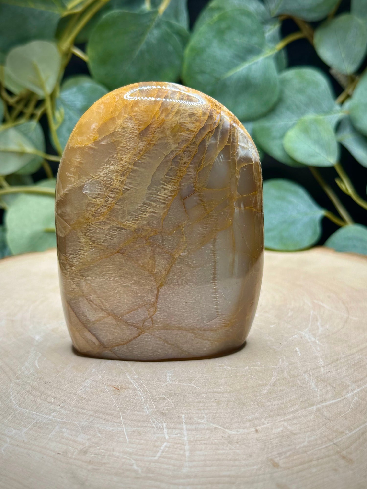 Peach Moonstone Free Forms