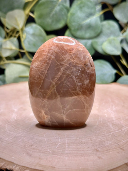 Peach Moonstone Free Forms