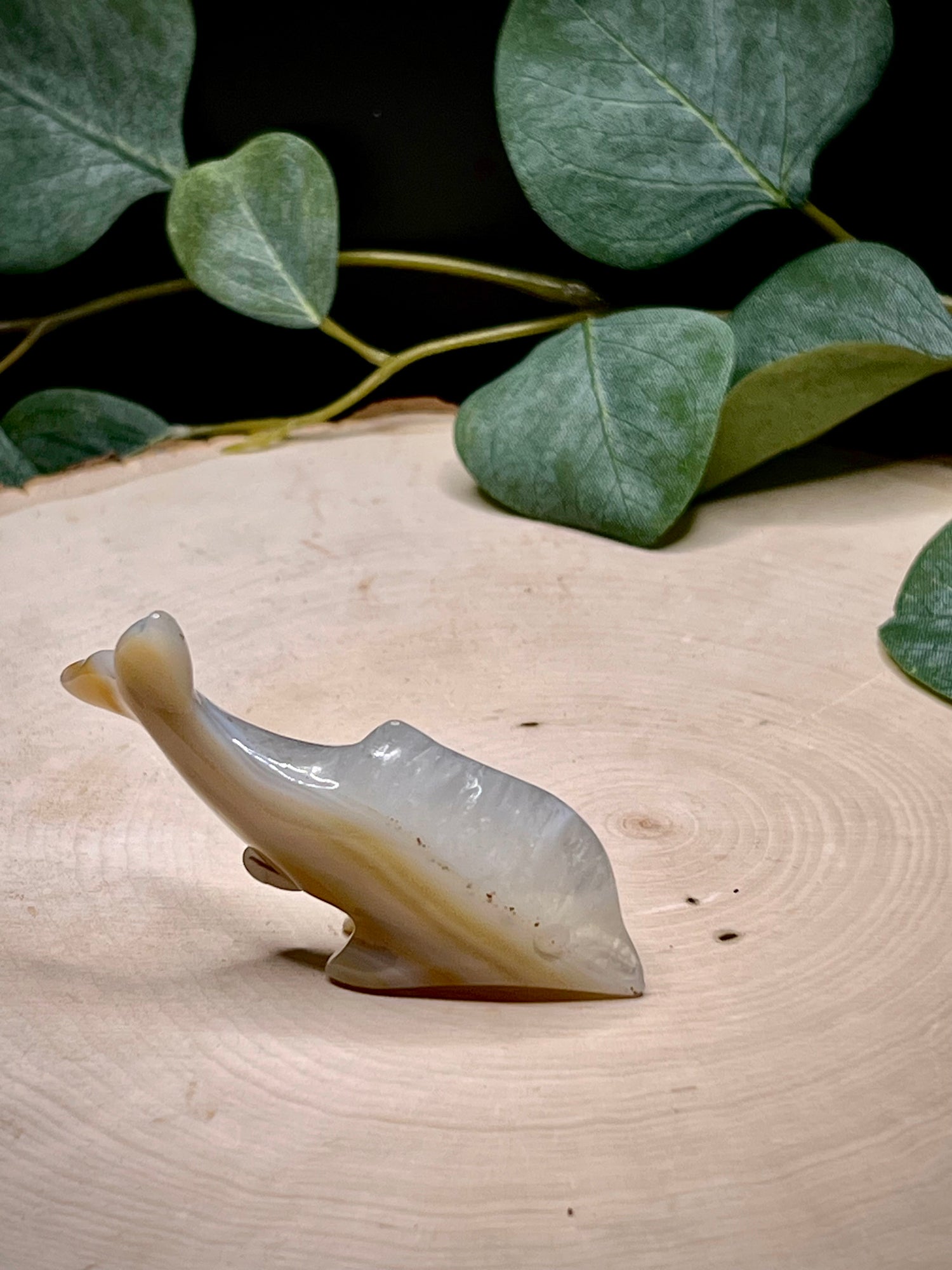 Agate Dolphin Carving