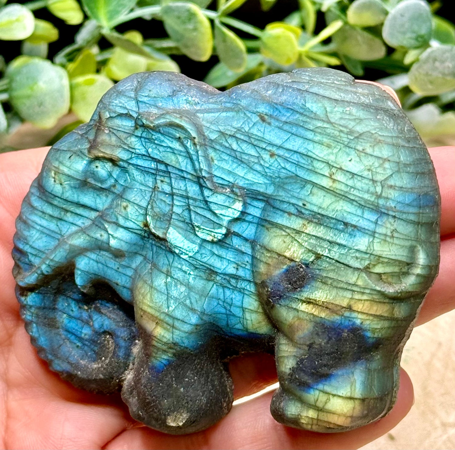 Handcarved Labradorite Elephant Carving