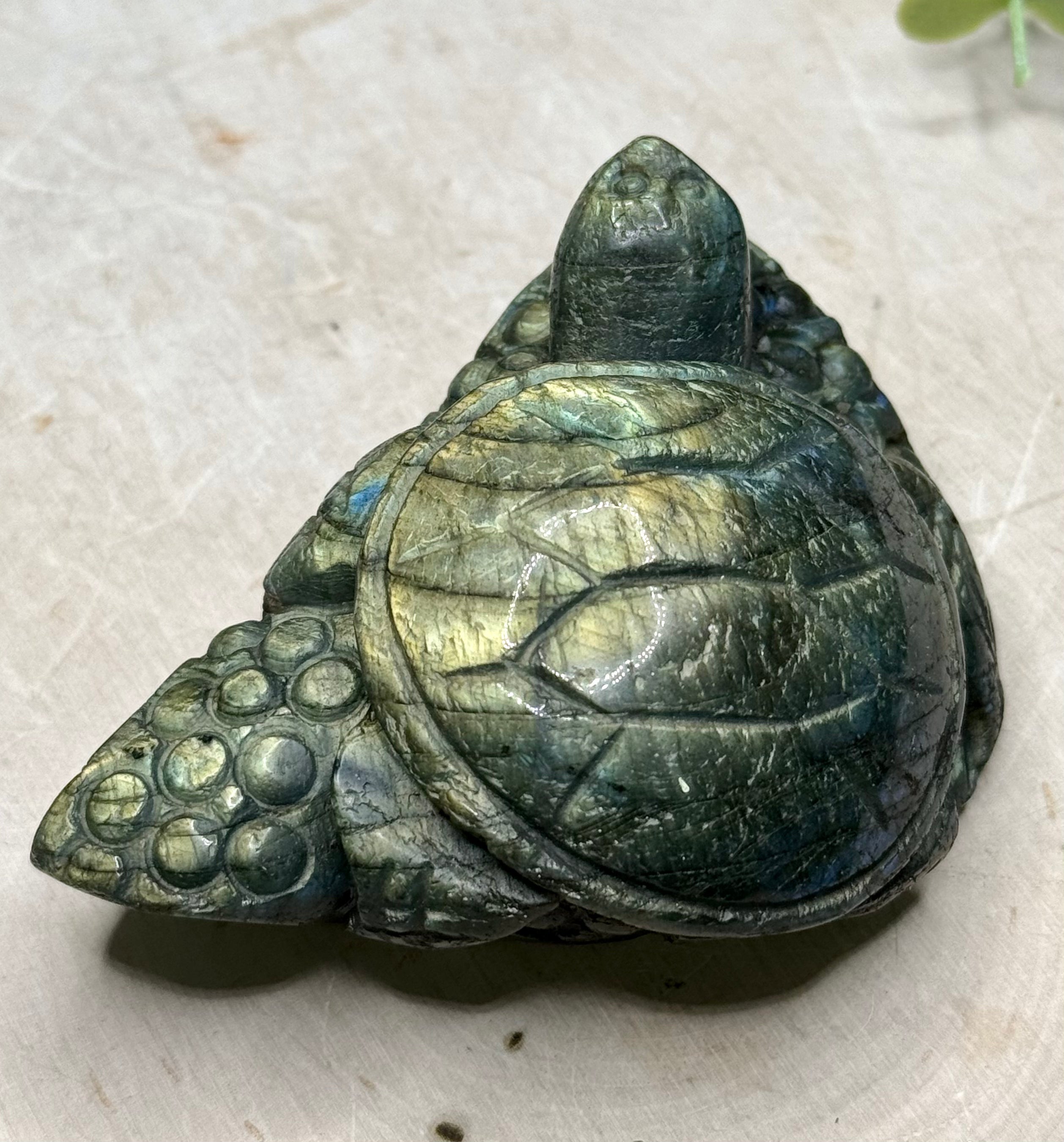 Labradorite Sea Turtle Carvings