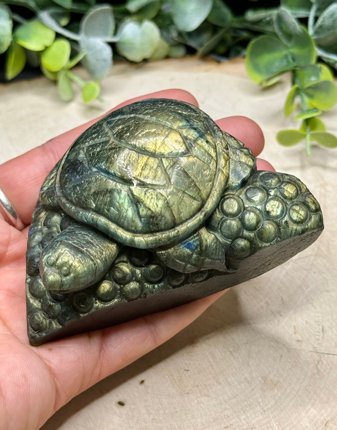 Labradorite Sea Turtle Carvings