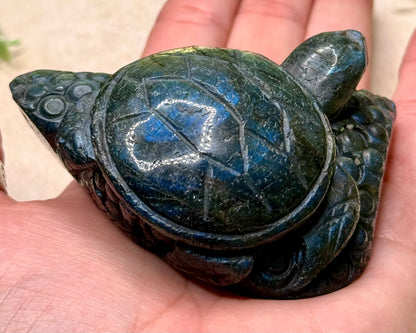 Labradorite Sea Turtle Carvings