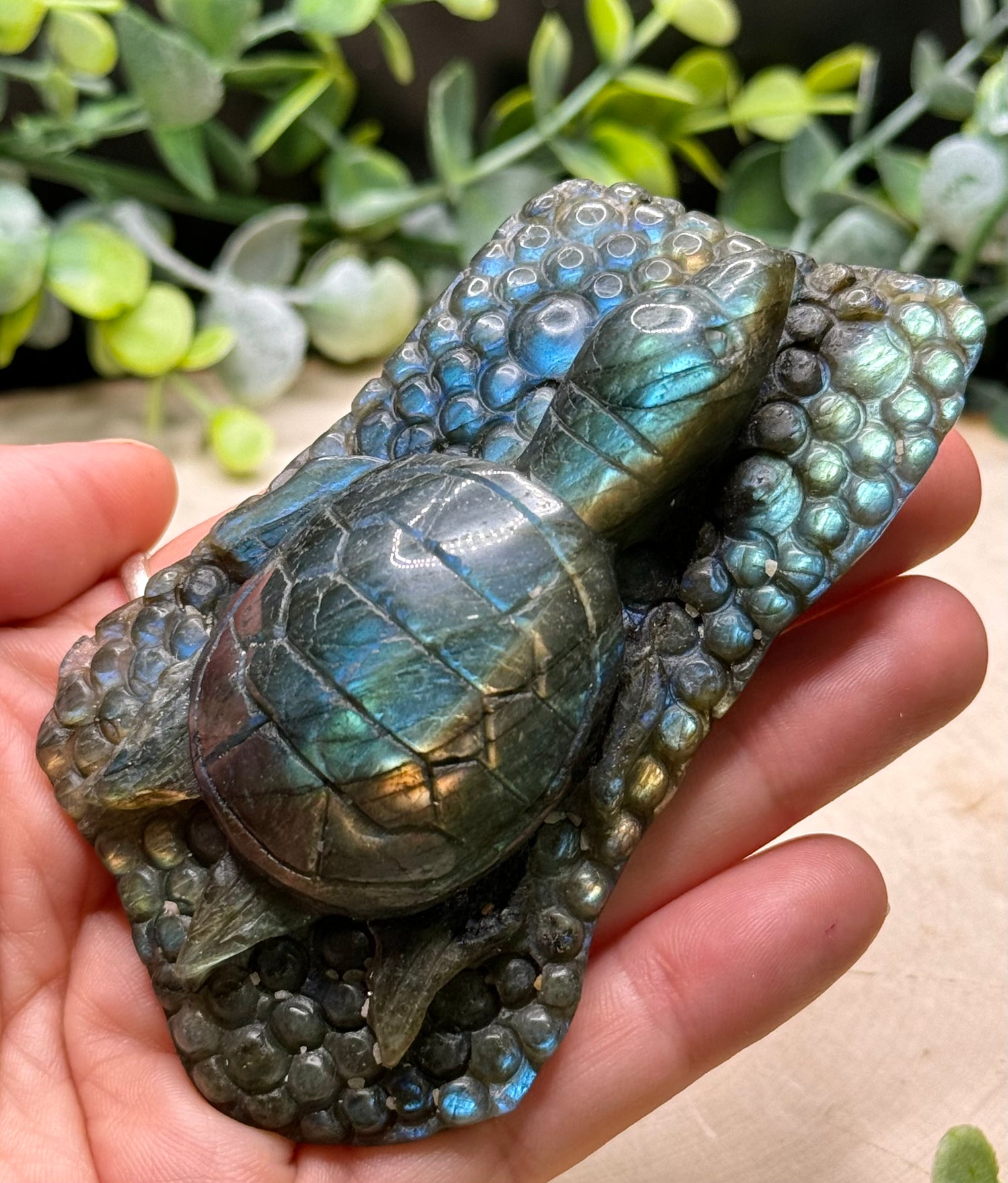 Labradorite Sea Turtle Carvings