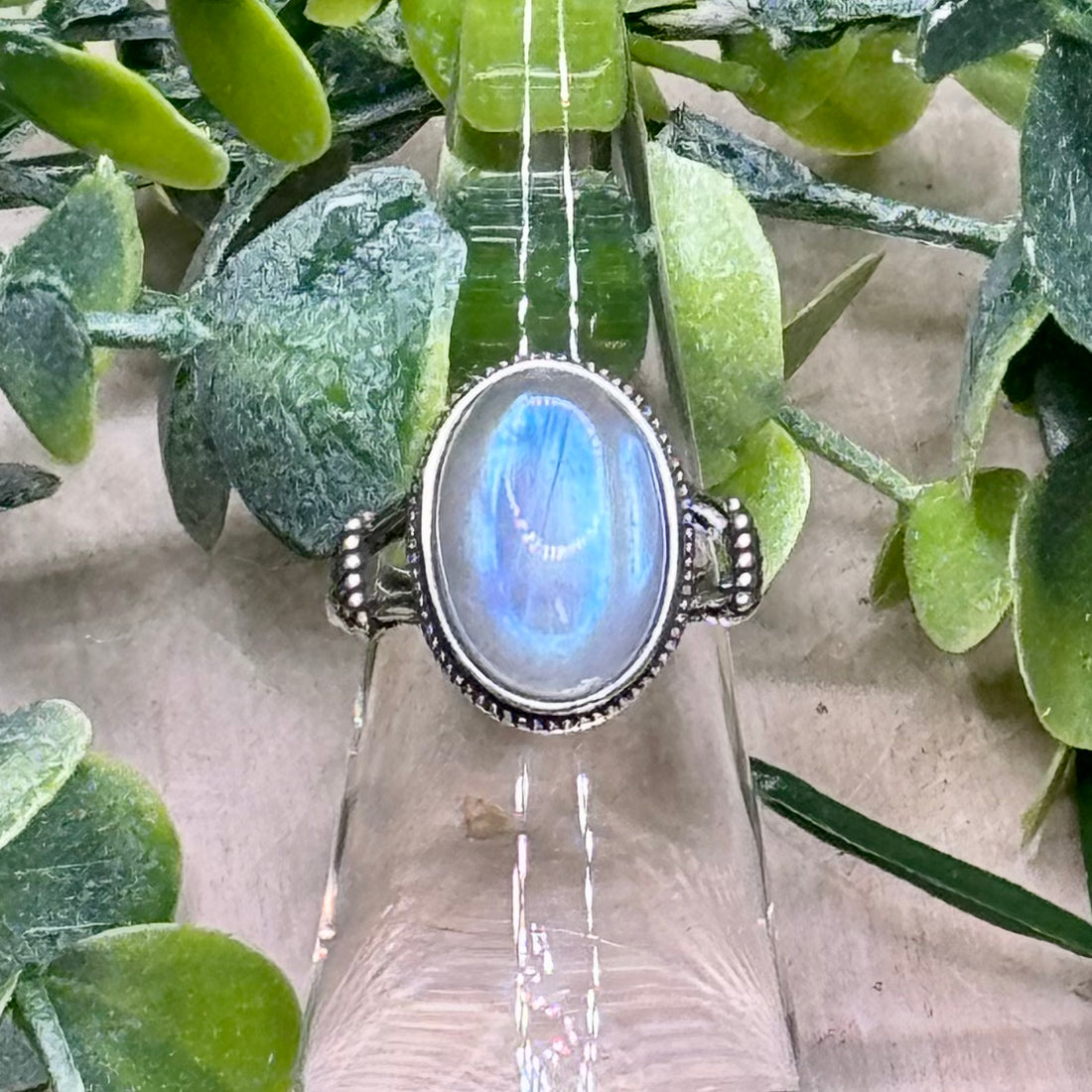 Moonstone Rings