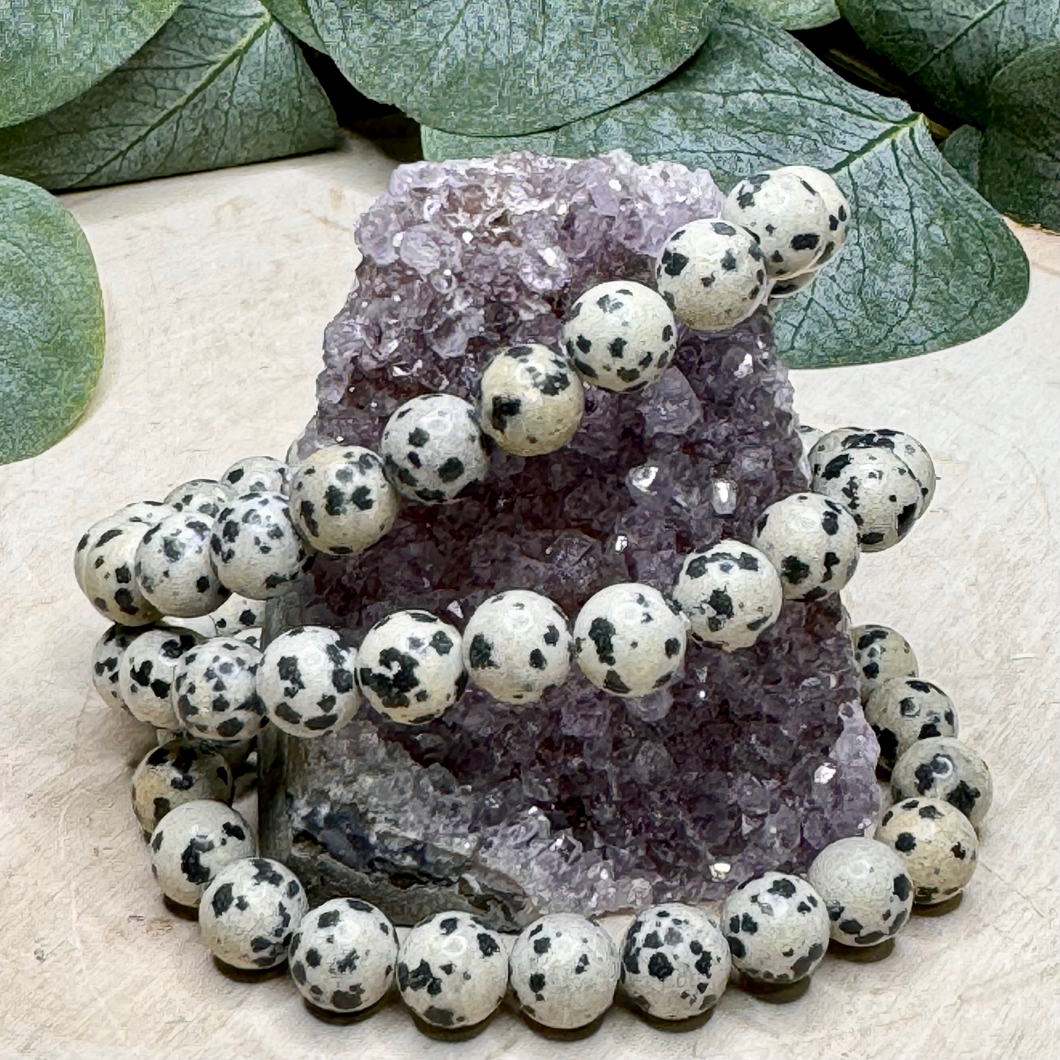 Dalmatian Jasper 8mm Bracelets