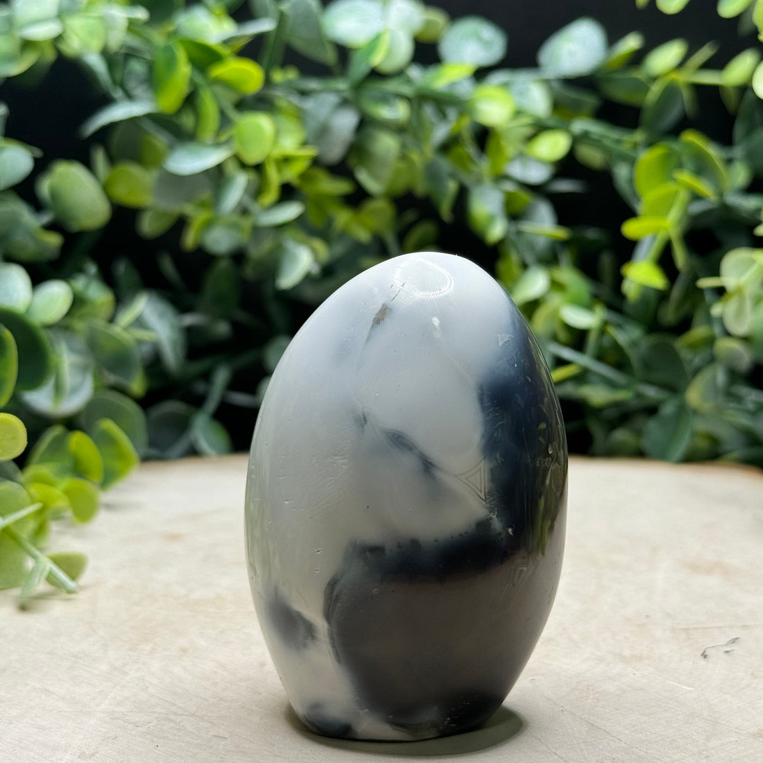 Orca Agate Freeforms | Polished Black and White Agate Display Pieces