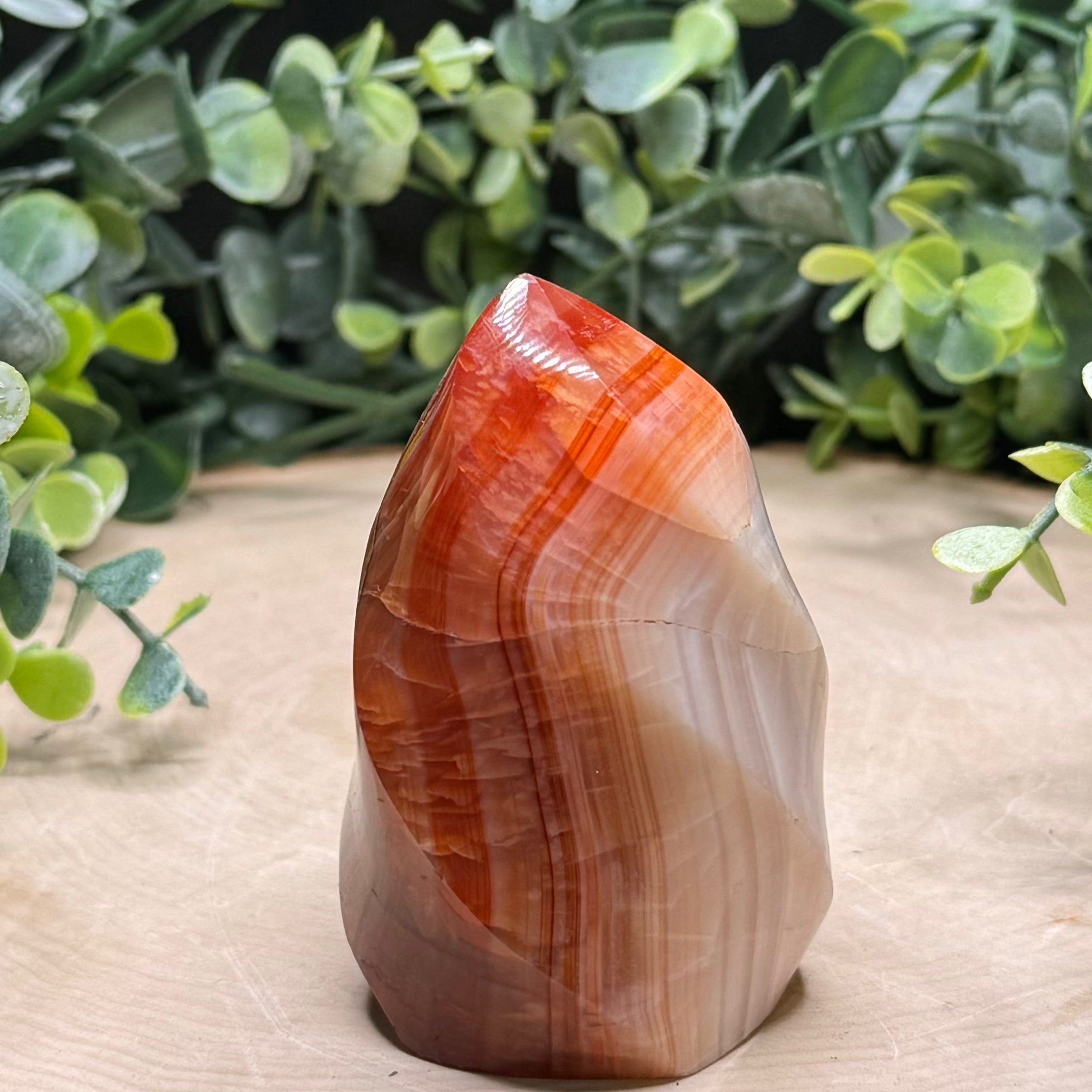 Carnelian Flame Carvings | Natural Polished Carnelian Flames | Red Agate Crystal Decor