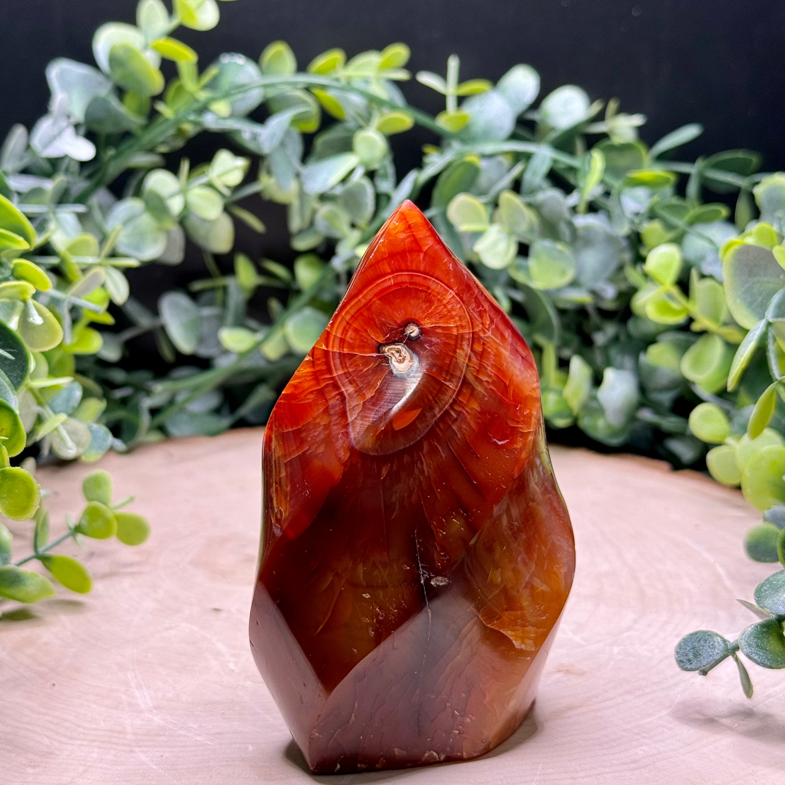 Carnelian Flame Carvings | Natural Polished Carnelian Flames | Red Agate Crystal Decor