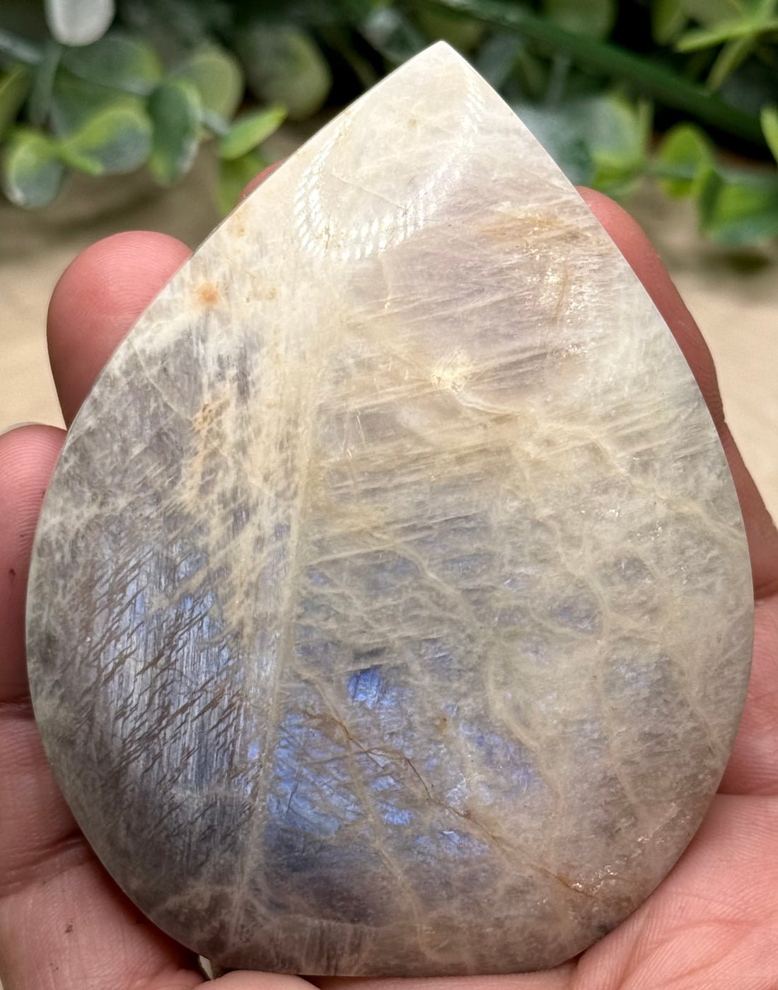 Moonstone Teardrop Freeforms