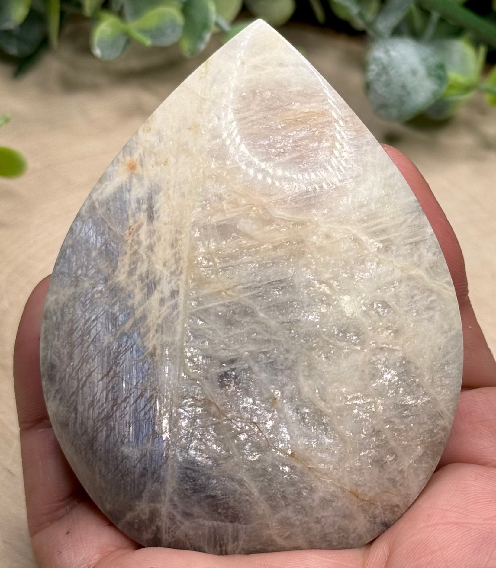 Moonstone Teardrop Freeforms