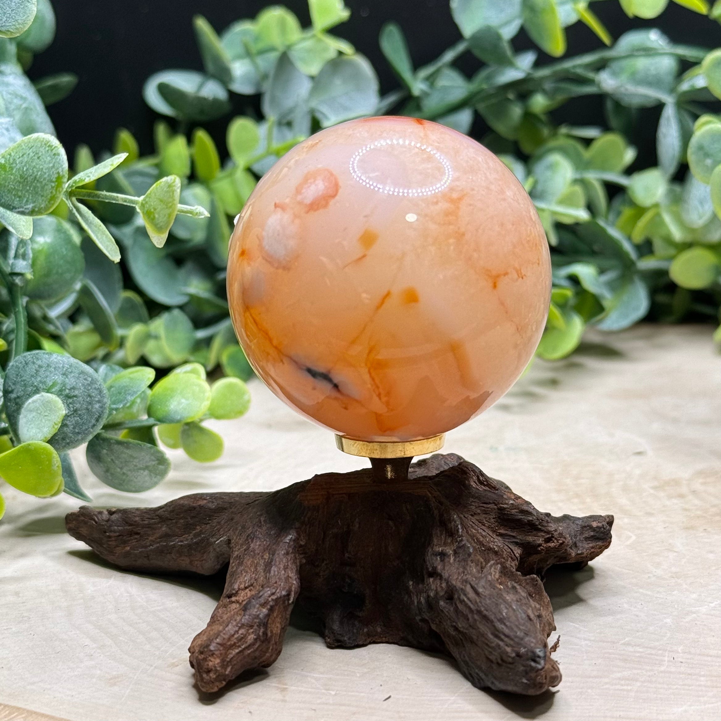 Carnelian Flower Agate Spheres | Natural Crystal Spheres with Flower Plumes