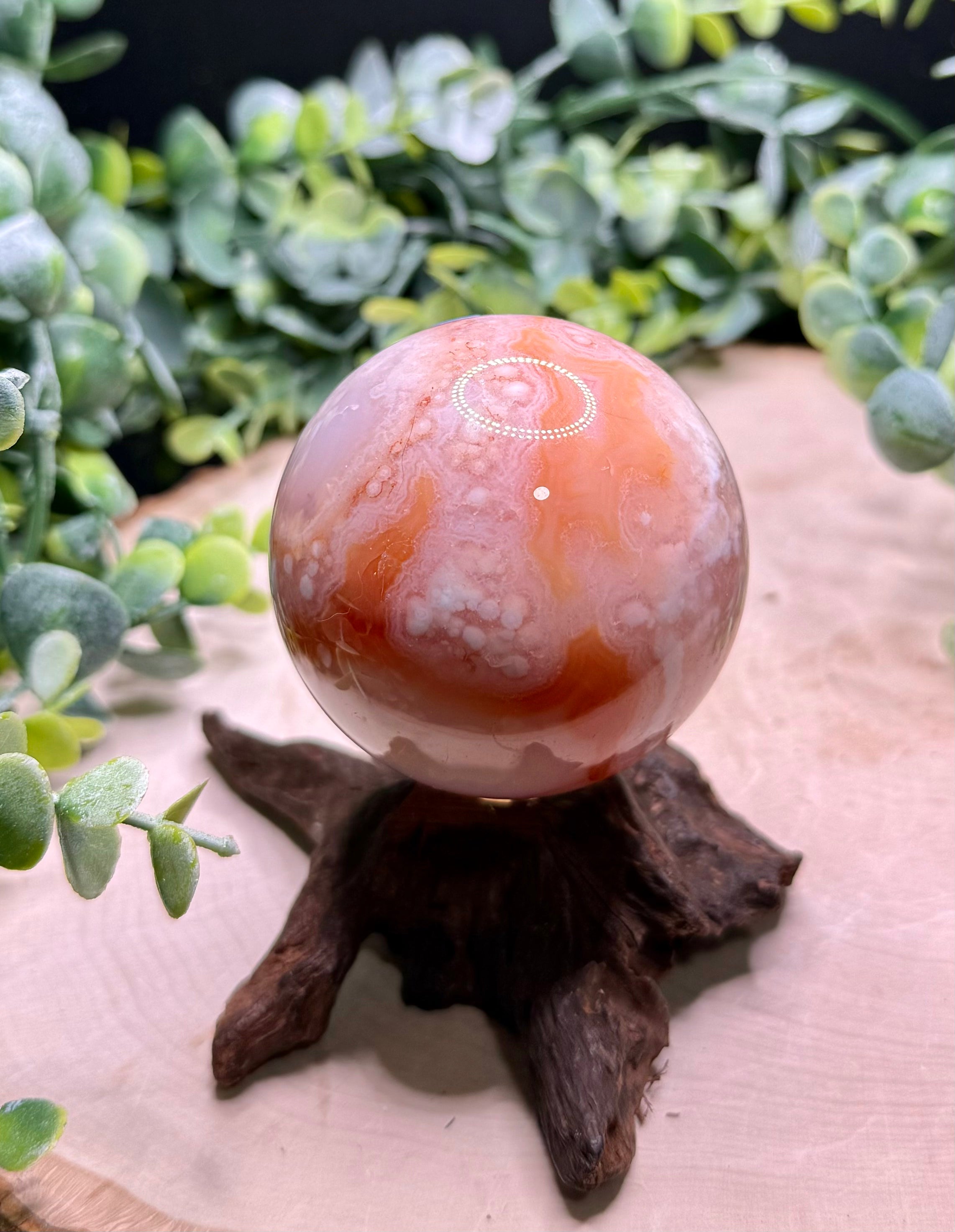 Carnelian Flower Agate Spheres | Natural Crystal Spheres with Flower Plumes