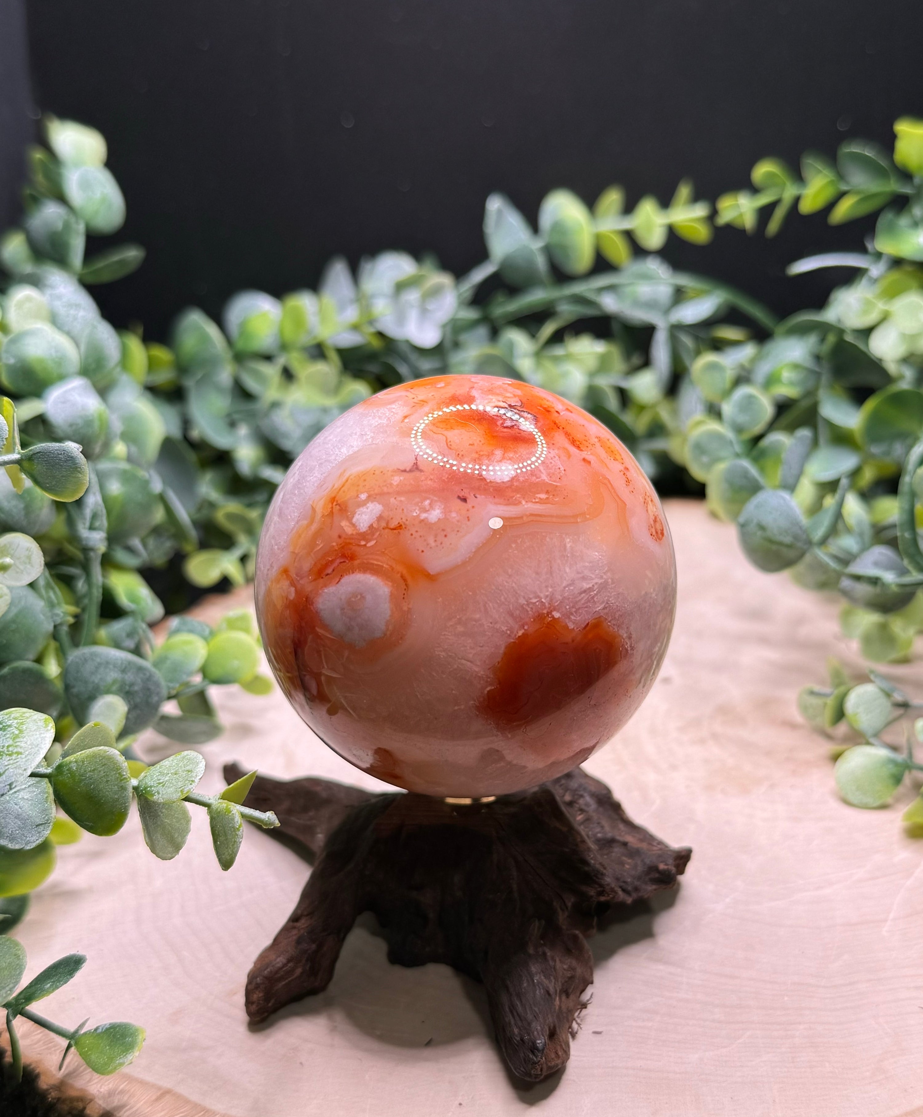 Carnelian Flower Agate Spheres | Natural Crystal Spheres with Flower Plumes
