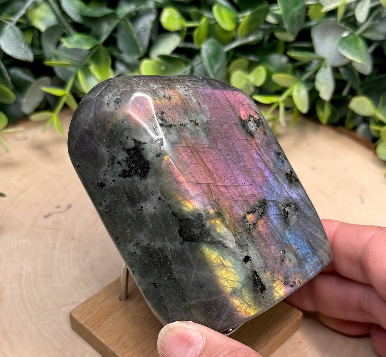 Labradorite Freeforms