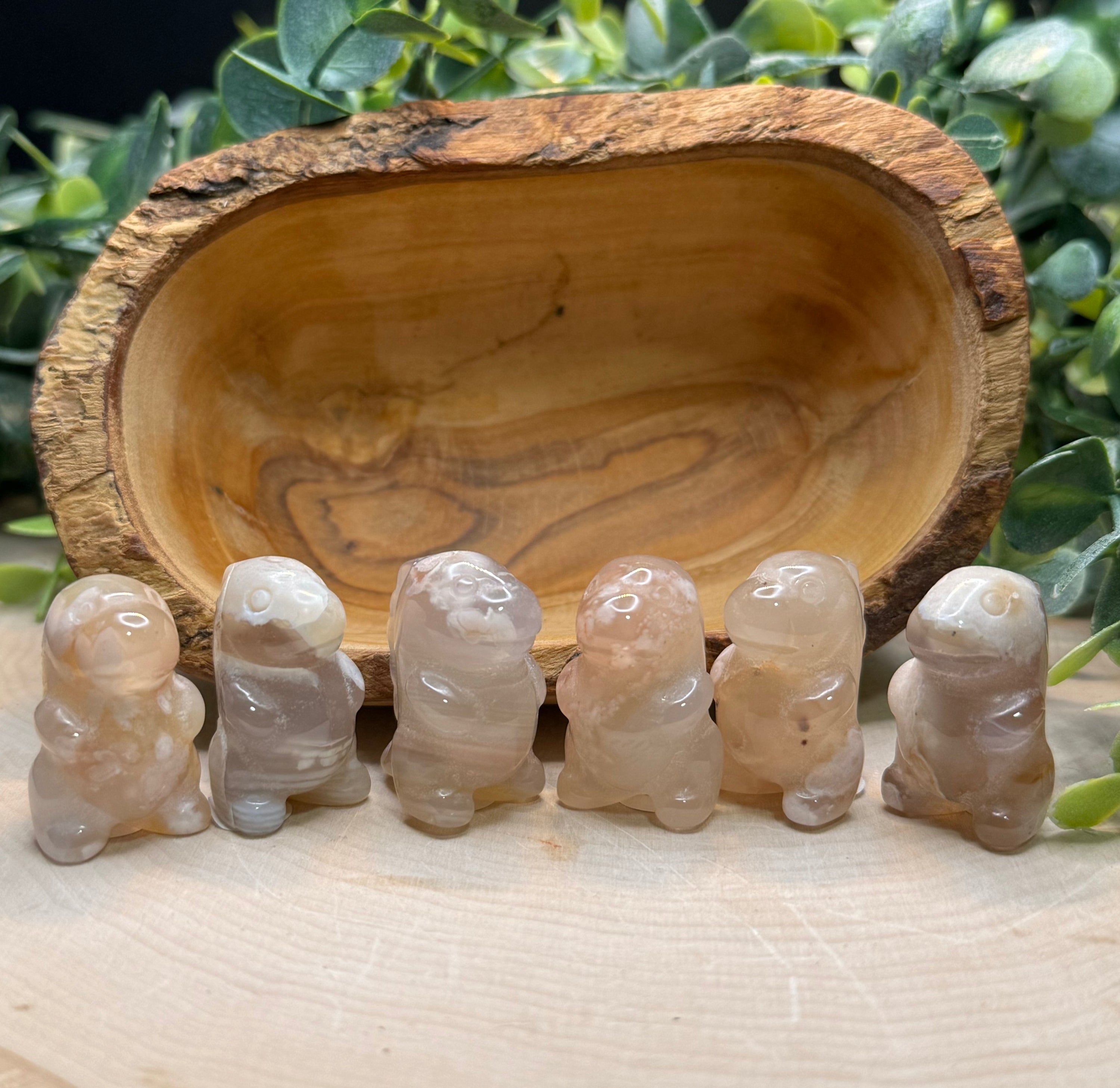 Flower Agate Chubby Dino Carvings | Mini Crystal Dinosaur Figurines - Still Water Crystals