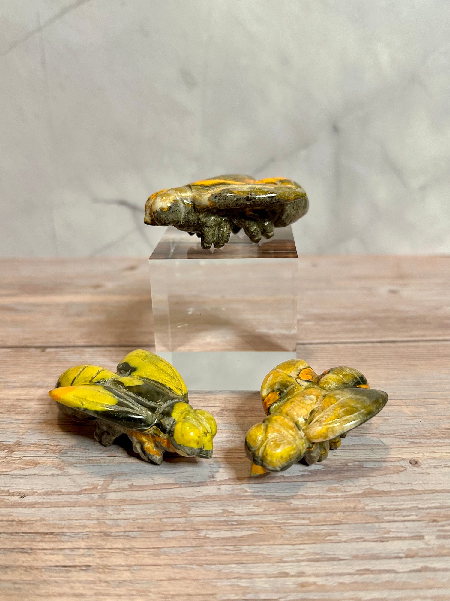 Bumblebee Jasper Bee Carvings