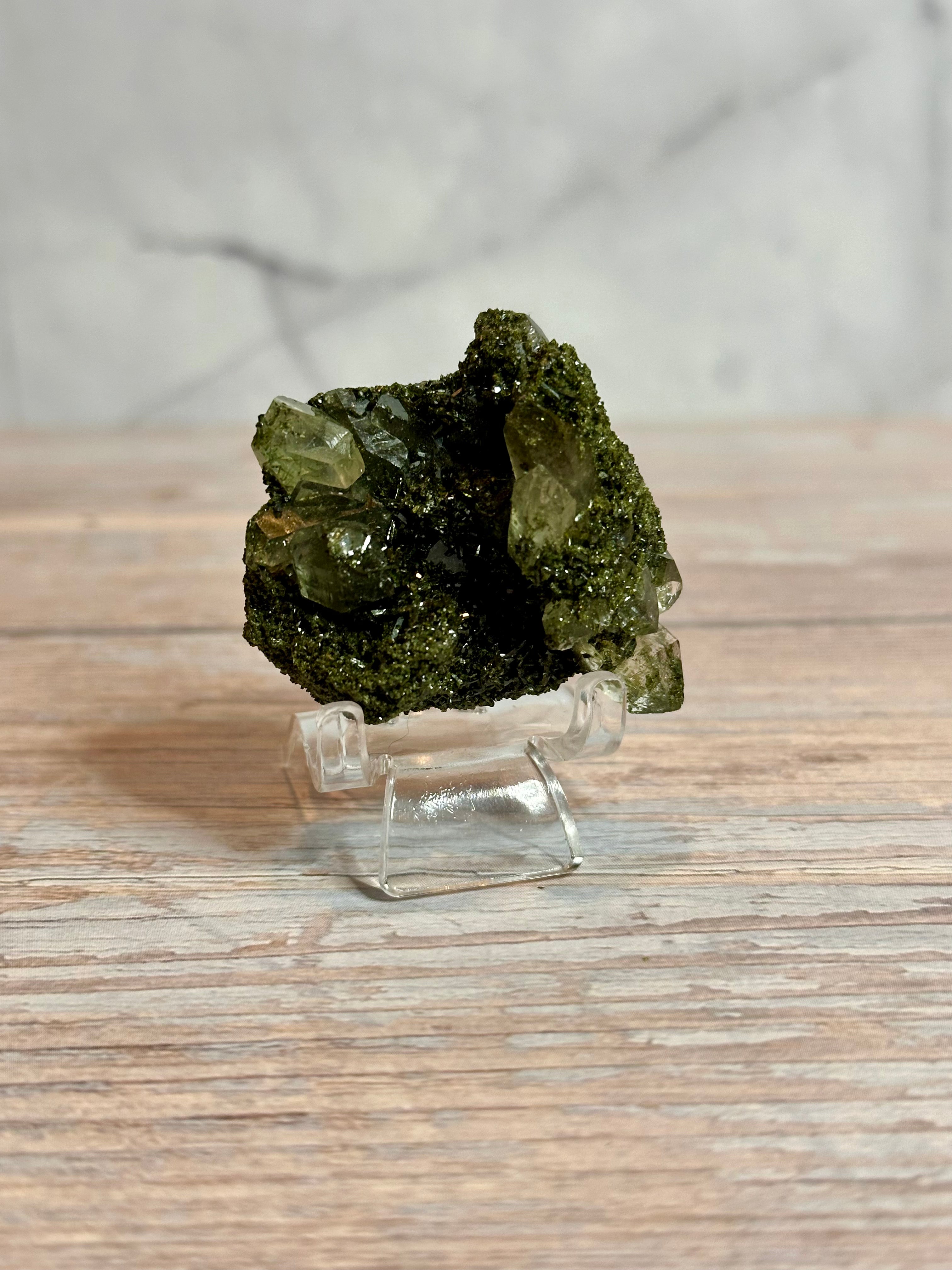 Forest Epidote Raw Specimens