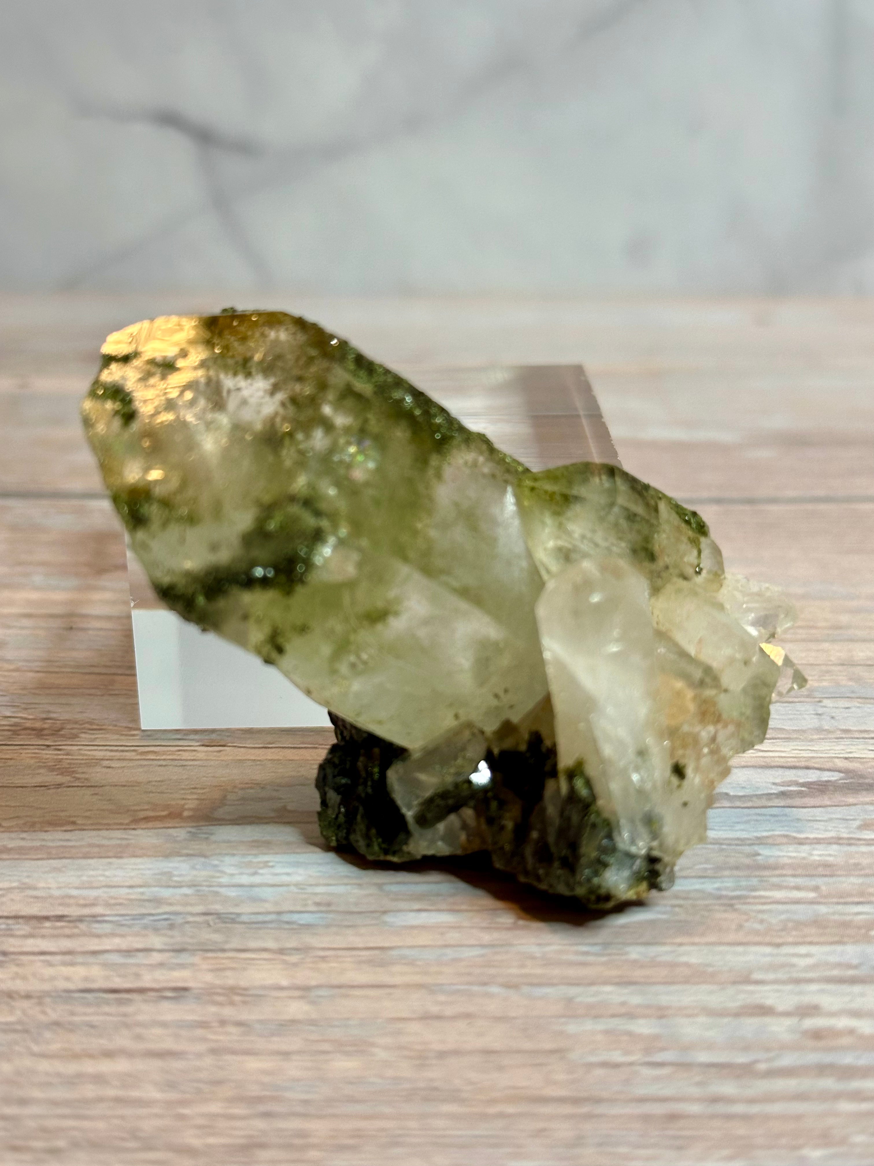 Forest Epidote Raw Specimens