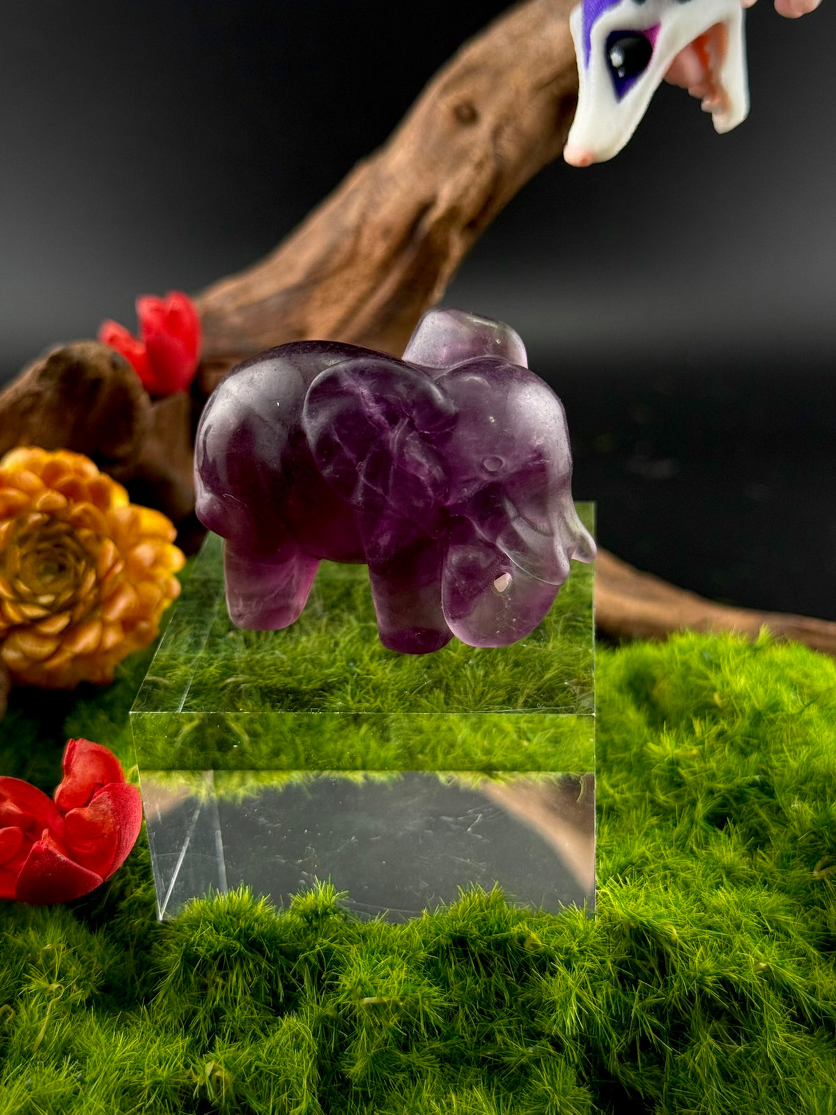 Fluorite Elephant Carvings