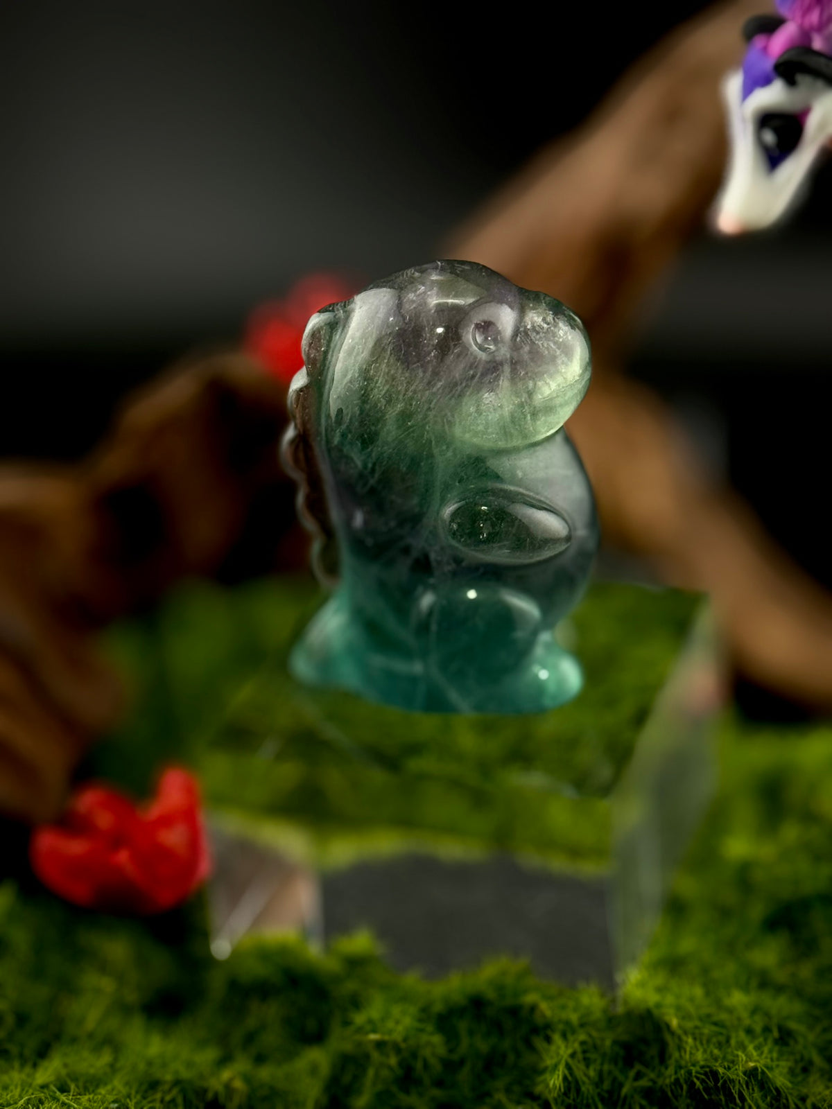 Chubby Fluorite Dinosaur Carvings | Fluorite Dino Figurines