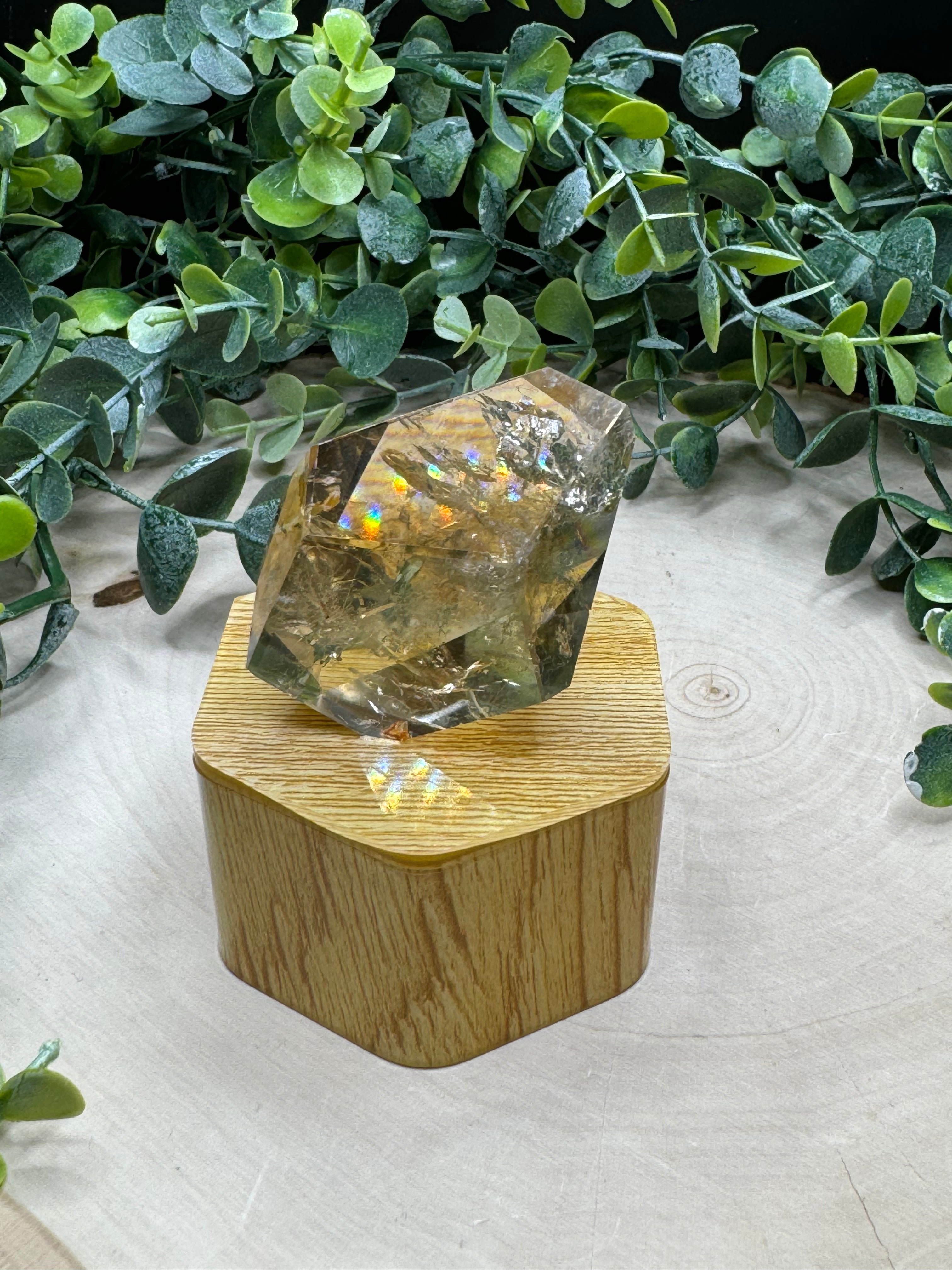 African Citrine Freeforms