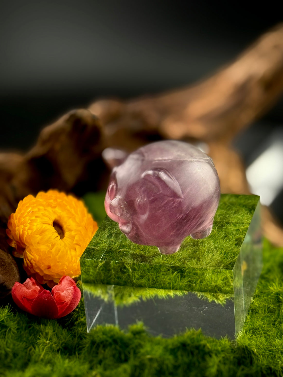 Fluorite Standing Pig Carvings