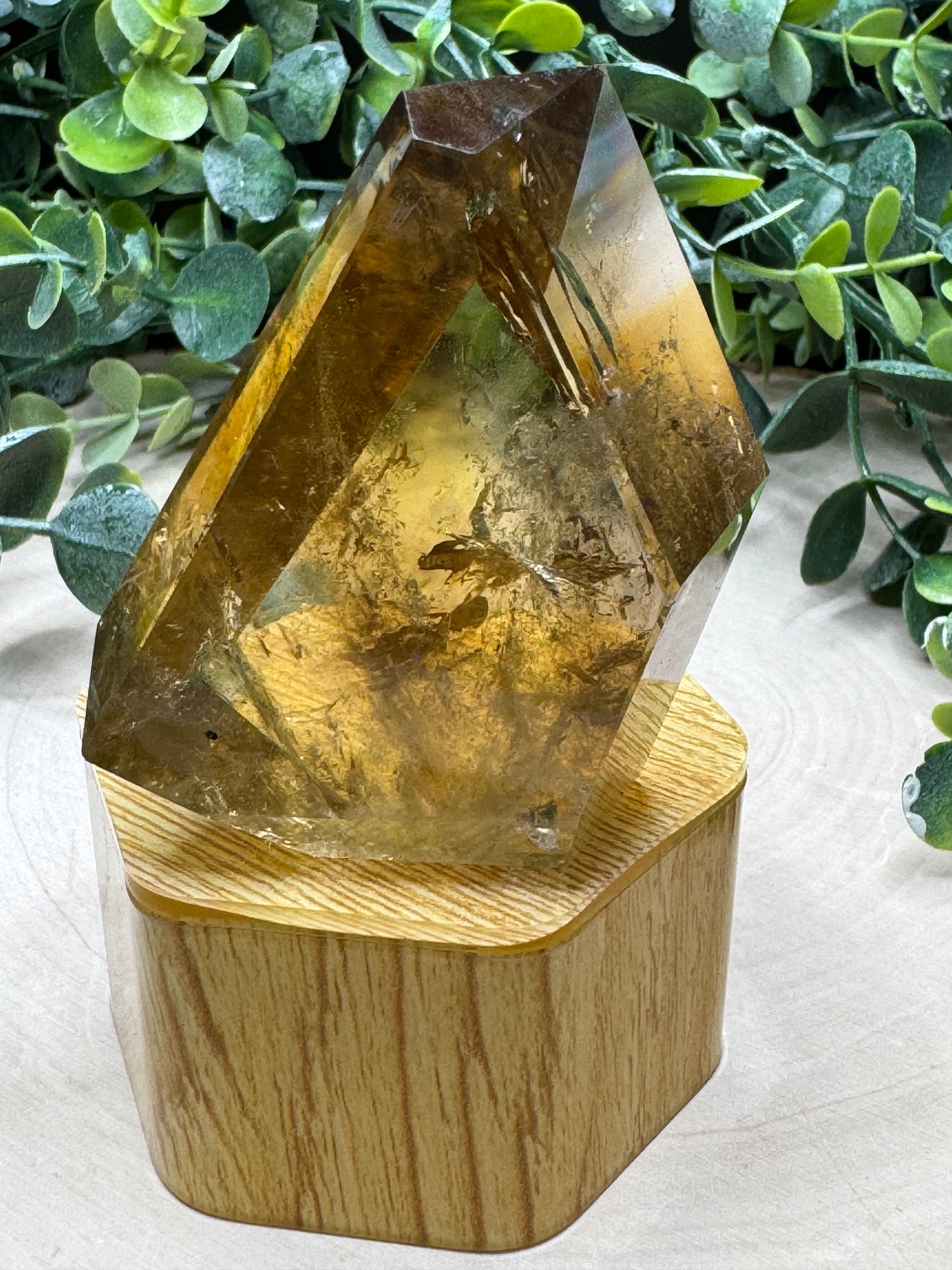 African Citrine Freeforms