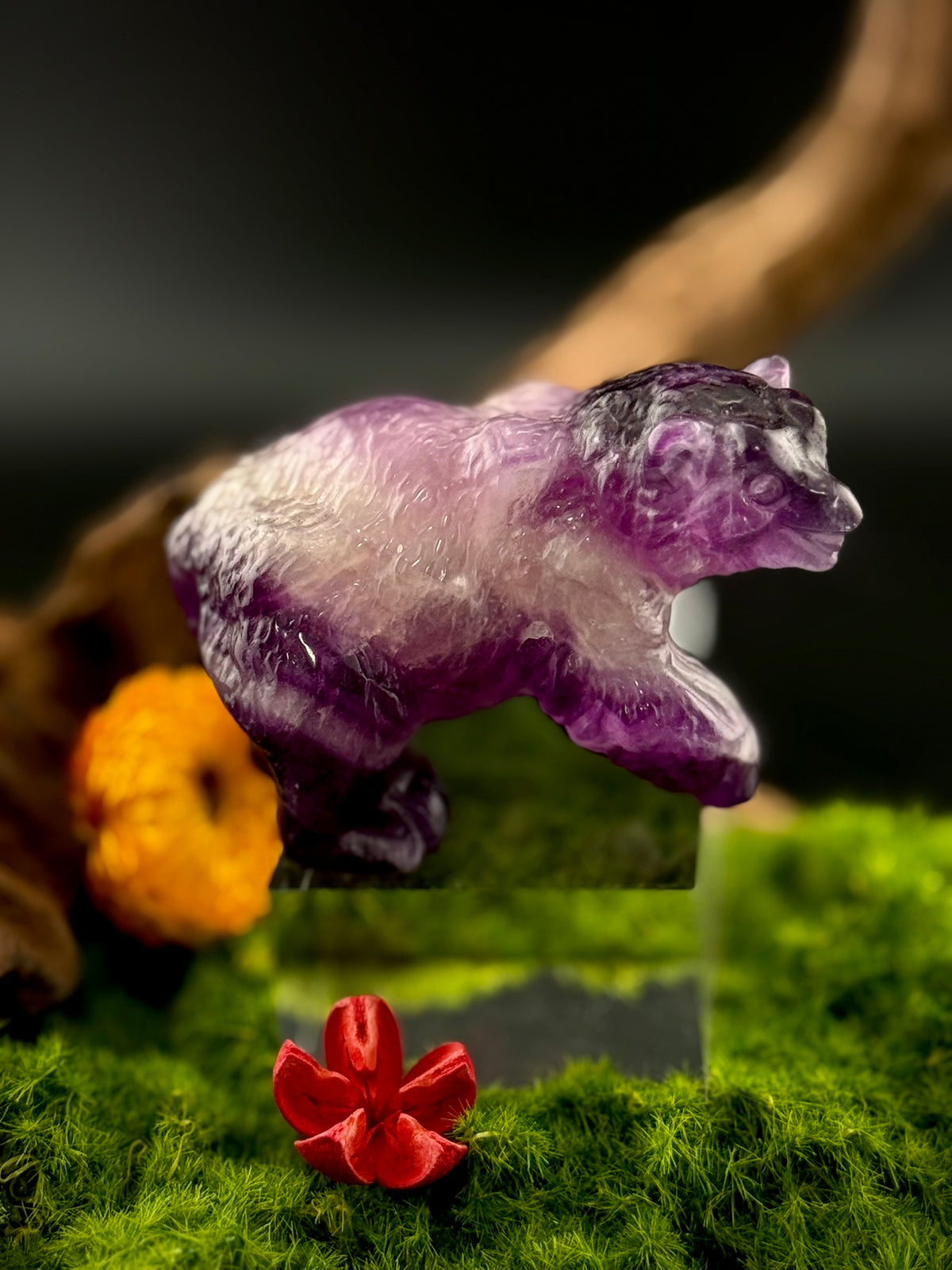 Fluorite Bear Carvings | Green Fluorite &amp; Rainbow Fluorite Bears