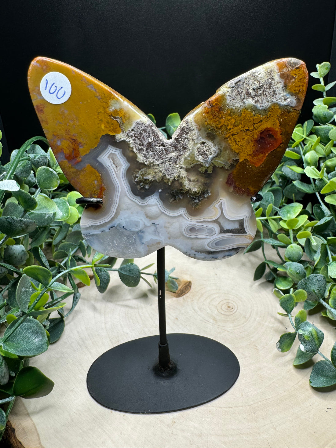 Scenic Moss Butterfly Carvings