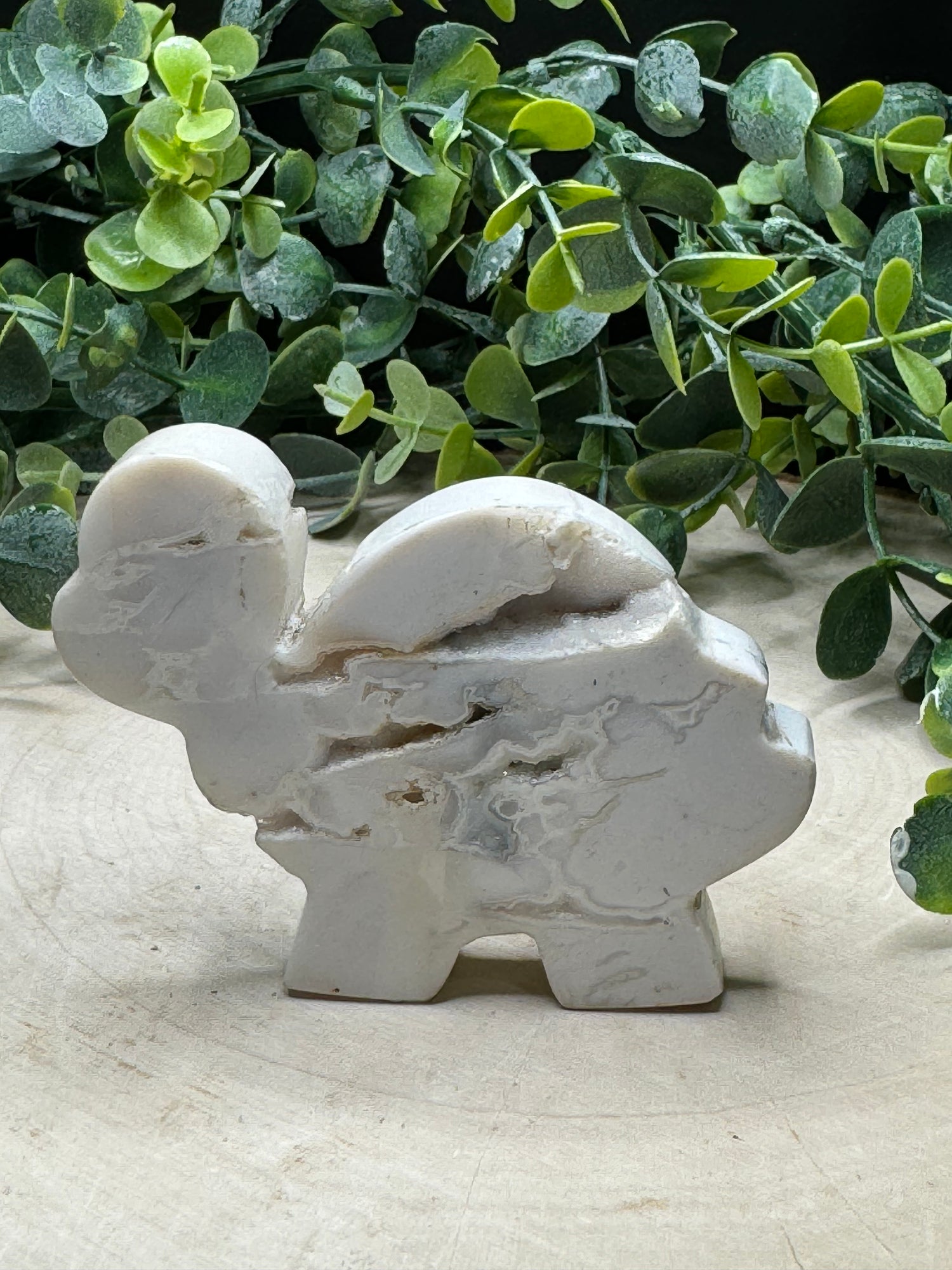 White Agate Handcarved Standing Turtle Carving