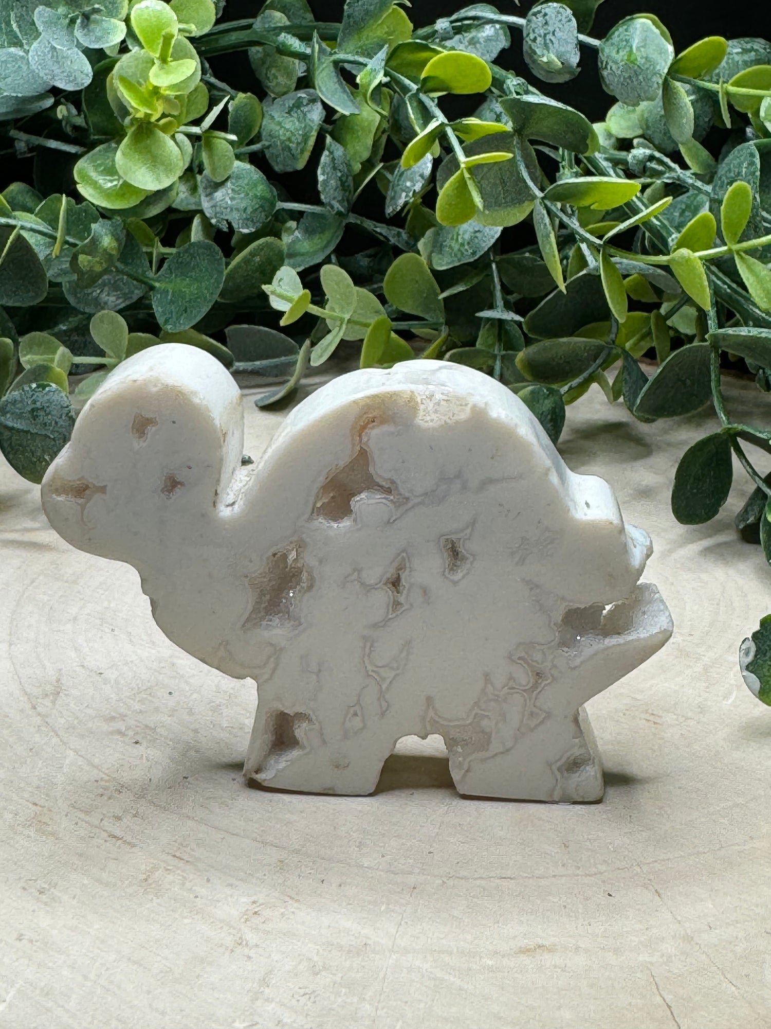 White Agate Handcarved Standing Turtle Carving