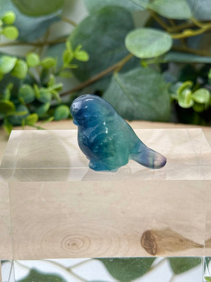 Hand Polished Rainbow Fluorite Bird Carvings