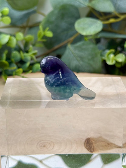 Hand Polished Rainbow Fluorite Bird Carvings
