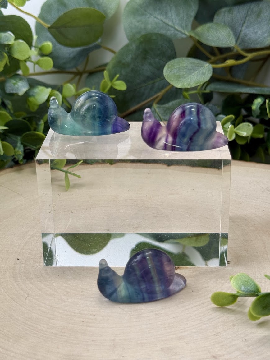 Hand-Polished Rainbow Fluorite Snail Carvings | Natural Crystal Animal Figurine