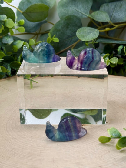 Hand-Polished Rainbow Fluorite Snail Carvings