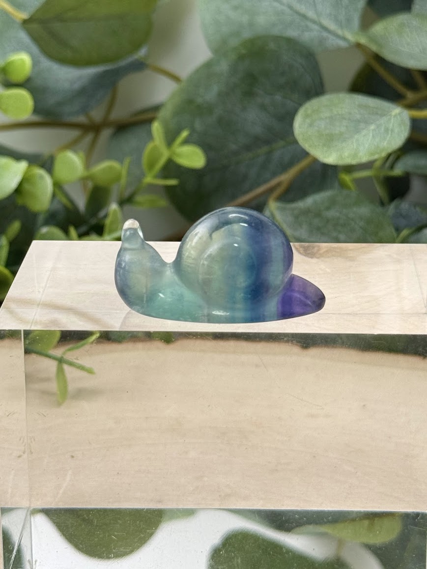 Hand-Polished Rainbow Fluorite Snail Carvings