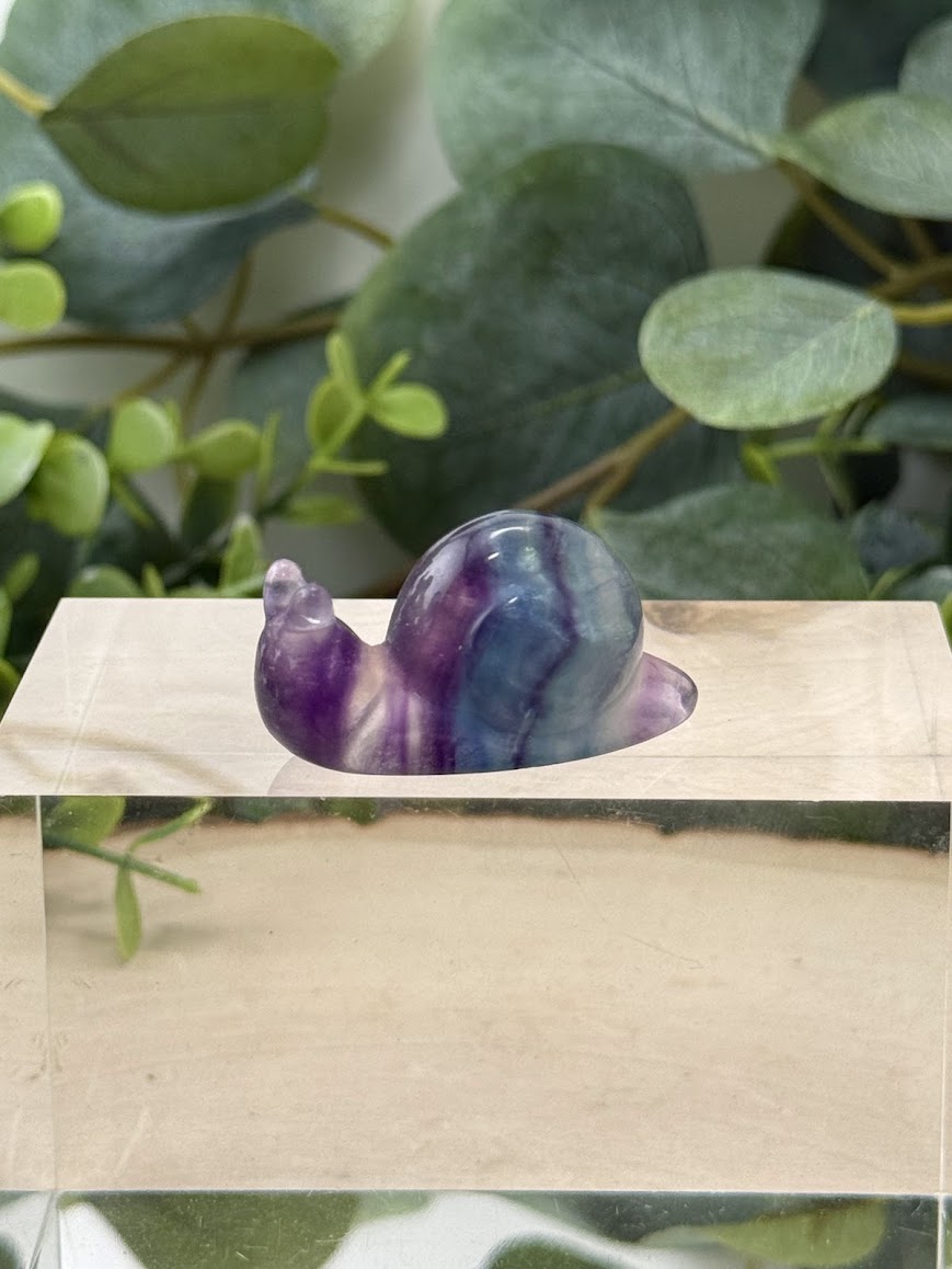 Hand-Polished Rainbow Fluorite Snail Carvings