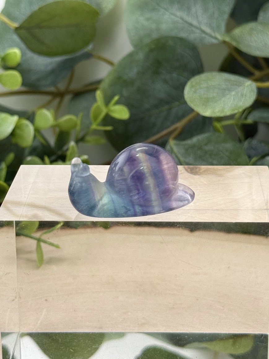 Hand-Polished Rainbow Fluorite Snail Carvings