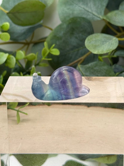 Hand-Polished Rainbow Fluorite Snail Carvings