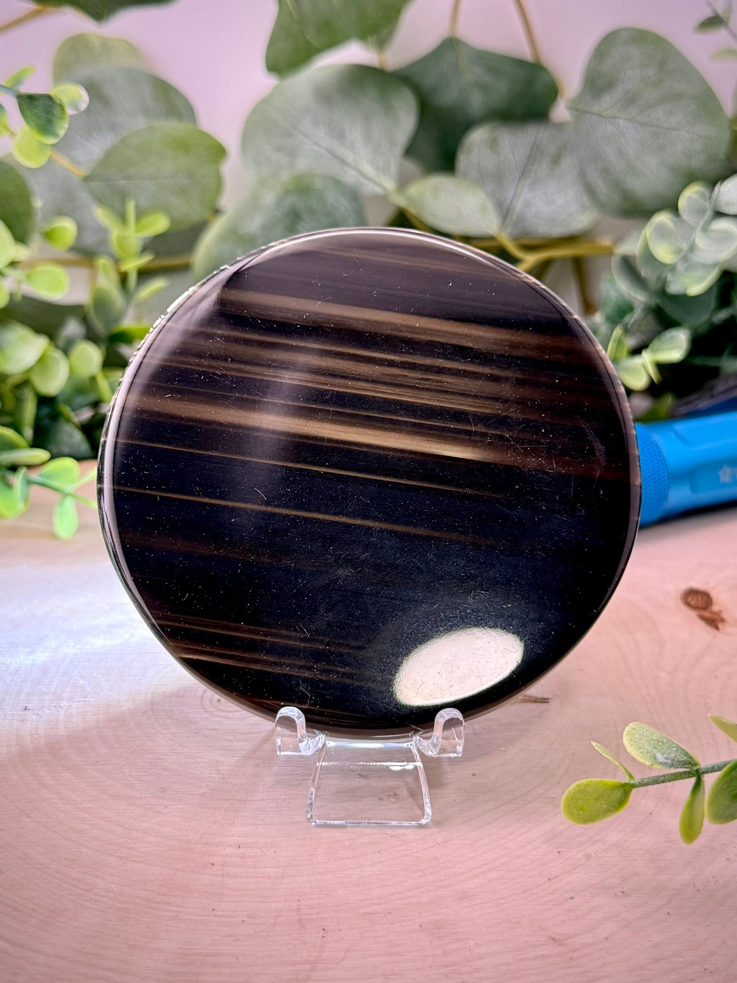 Midnight Lace Obsidian Disc