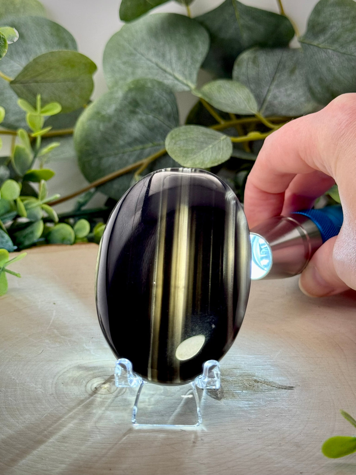 Midnight Lace Obsidian Palms | Natural Volcanic Glass Palmstone - Still Water Crystals