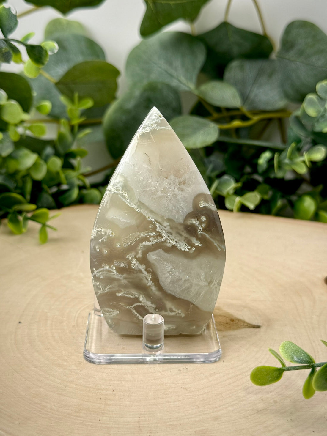 Moss Agate Tear Drops | Polished Natural Stone Display Decor