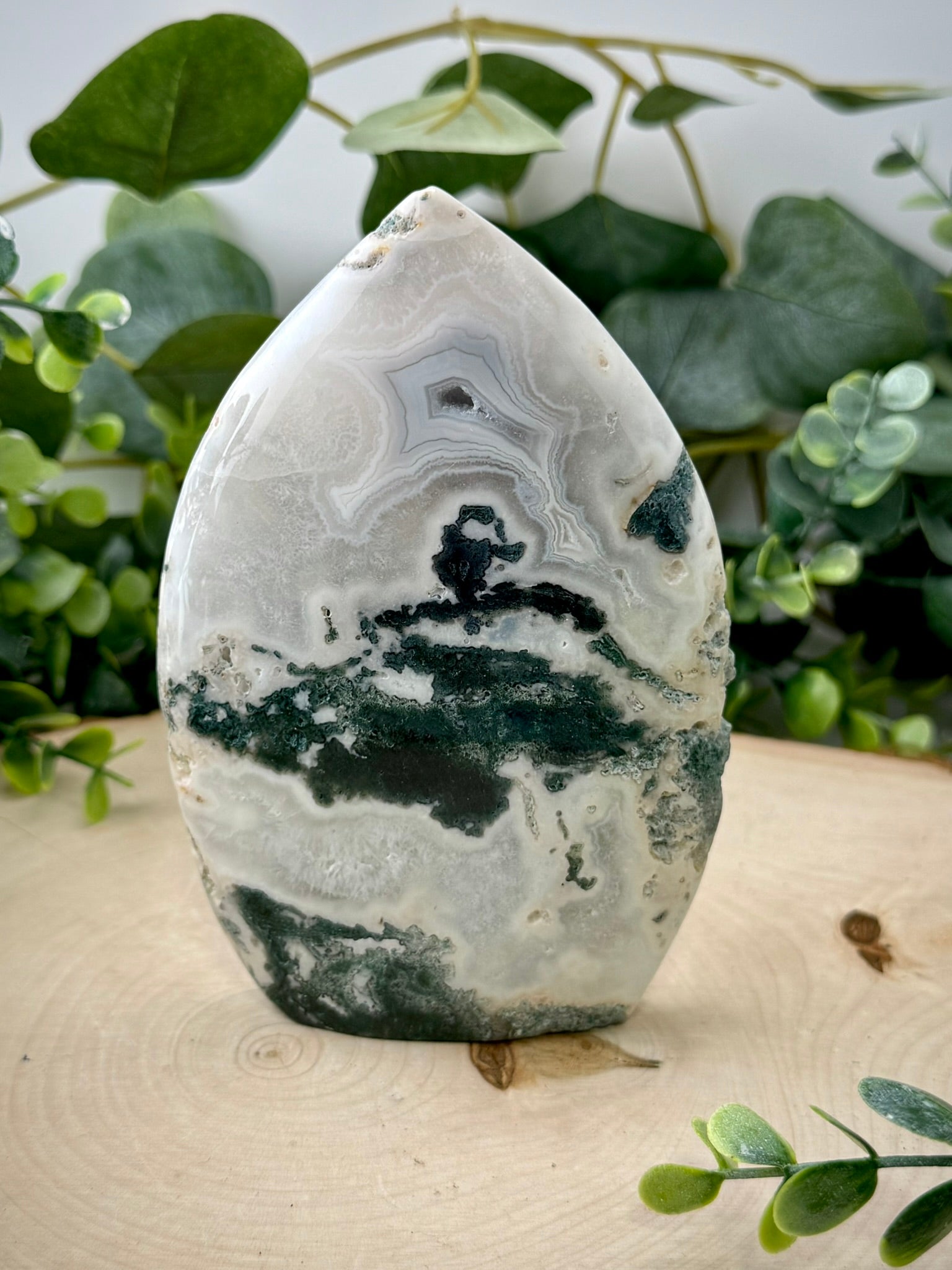 Moss Agate Tear Drops