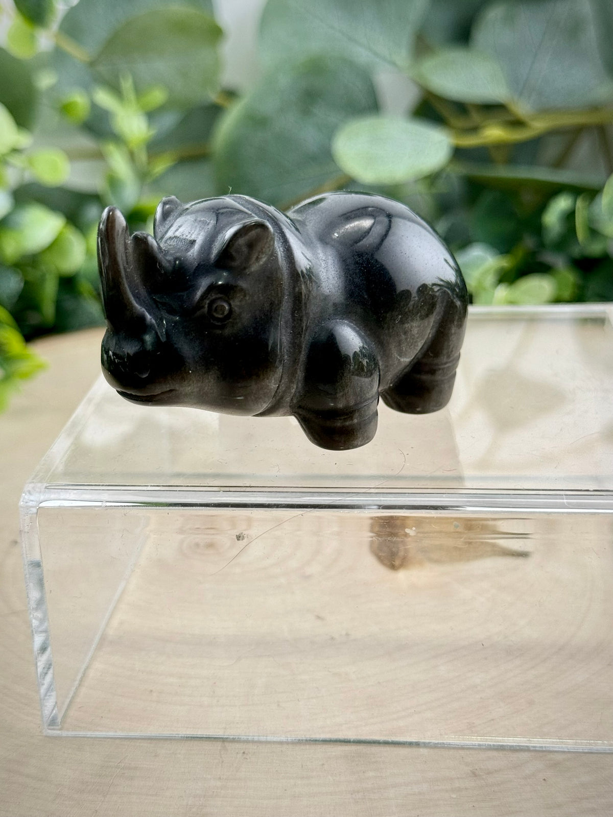 Silver Sheen Obsidian Rhino Carving | Natural Stone Rhinoceros Figurine - Still Water Crystals