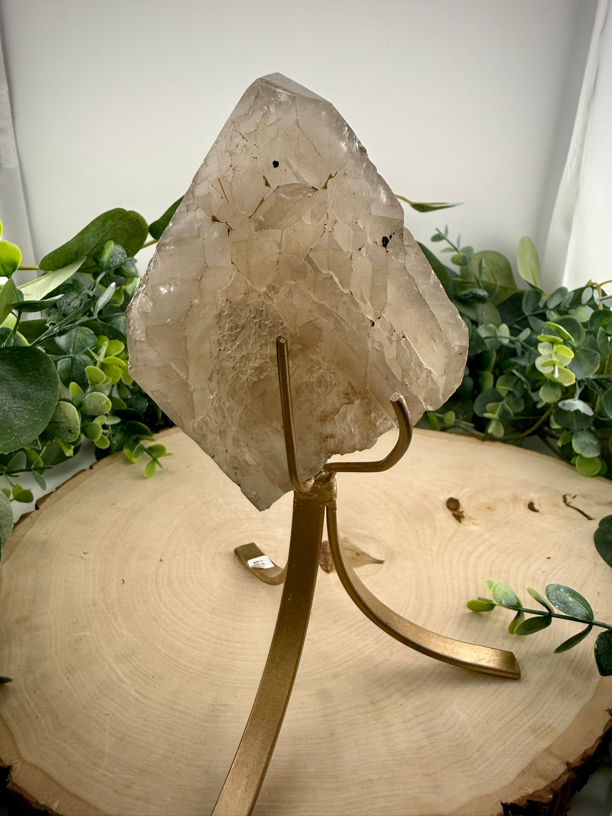 Brazilian Gold Rutilated Quartz | Raw &amp; Polished Crystal with Custom Stand - Still Water Crystals