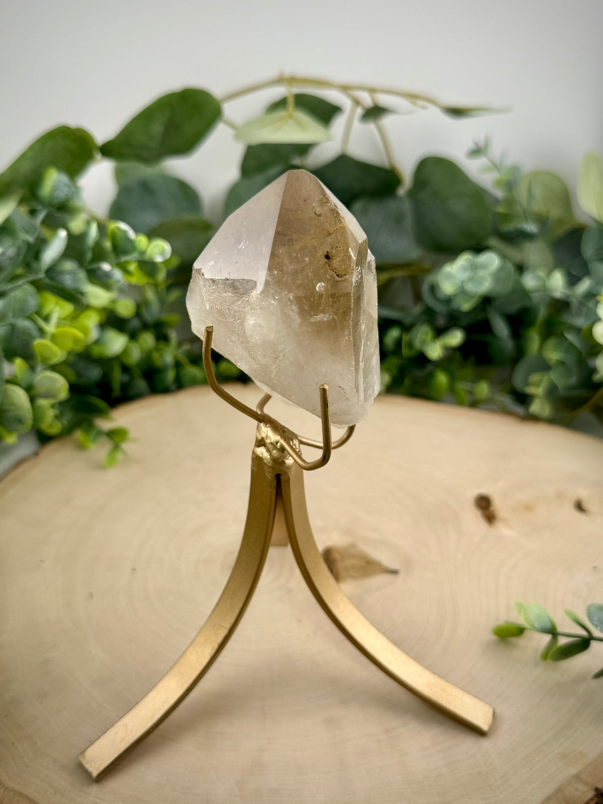 Brazilian Gold Rutilated Quartz | Raw &amp; Polished Crystal with Custom Stand - Still Water Crystals