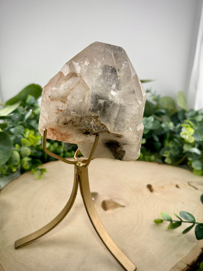 Brazilian Gold Rutilated Quartz | Raw &amp; Polished Crystal with Custom Stand